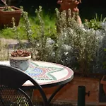 L\'Oasi Delle Vigne